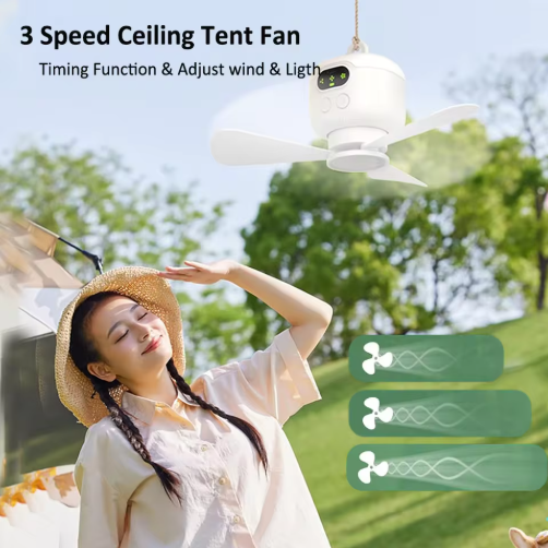 Dual Head Mist Fan – 5 Nozzles